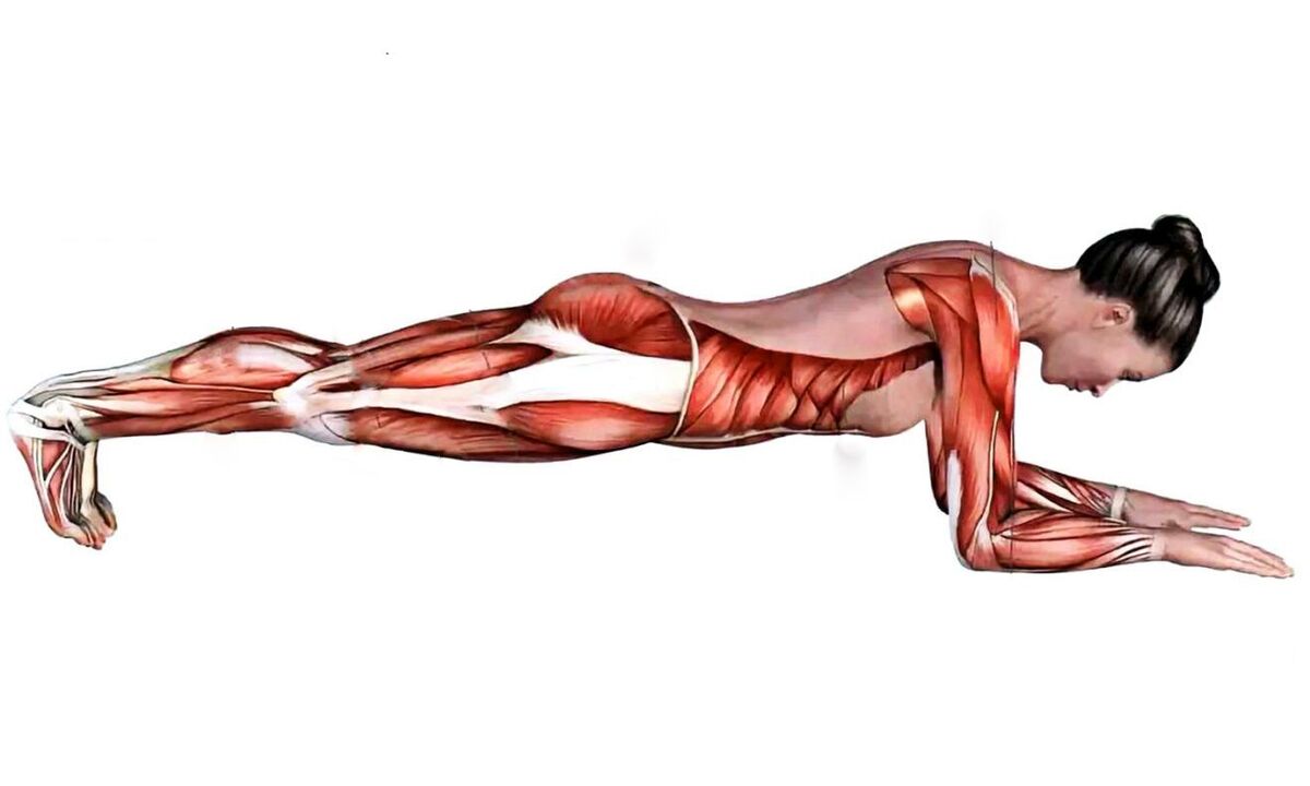 qué músculos trabajan cuando la tabla